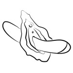 ROMP - HYPE Multifunktions-G-Punkt-Vibrator Rot
